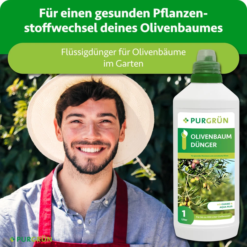Purgrün Olivenbaum Dünger, NPK 8+8+6, für gesunde Oliven, 1L - Bild 2 von 4