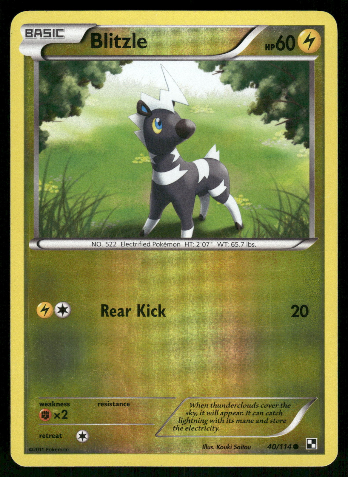 Blitzle Reverse Holo 40/114 Black and White Pokemon