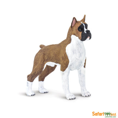 Safari Ltd 100062 Boxer 9 cm Serie Sternchen der Ausstellung 