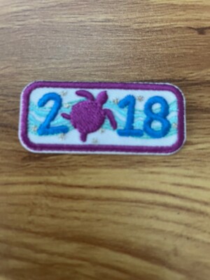 Little Brownie Baker ~ 2018 Girl Scout Cookie Reward ~ 2018 YEAR BAR Patch