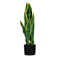 "Paperflow Kunstpflanze \"Sansevieria\", HöHe: 650 Mm 1 Bis 20 Stk Spare Bis 21%"