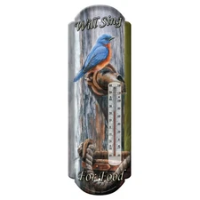 Rivers Edge Products Outdoor Tin Thermometer, 17" x 5" Indoor Thermometer, Will
