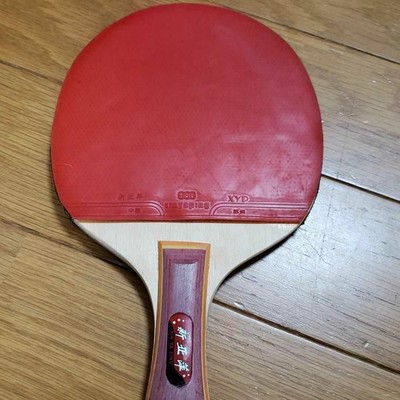 Table Tennis/Table Tennis Rackets Mizuno, Nittaku, Yasaka, Butterfly, Andro