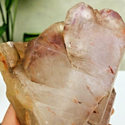 860 g Pie de Amatista Natural Esqueleto Cuarzo Punto de Cristal Espécimen Curación - Imagen 10 de 12