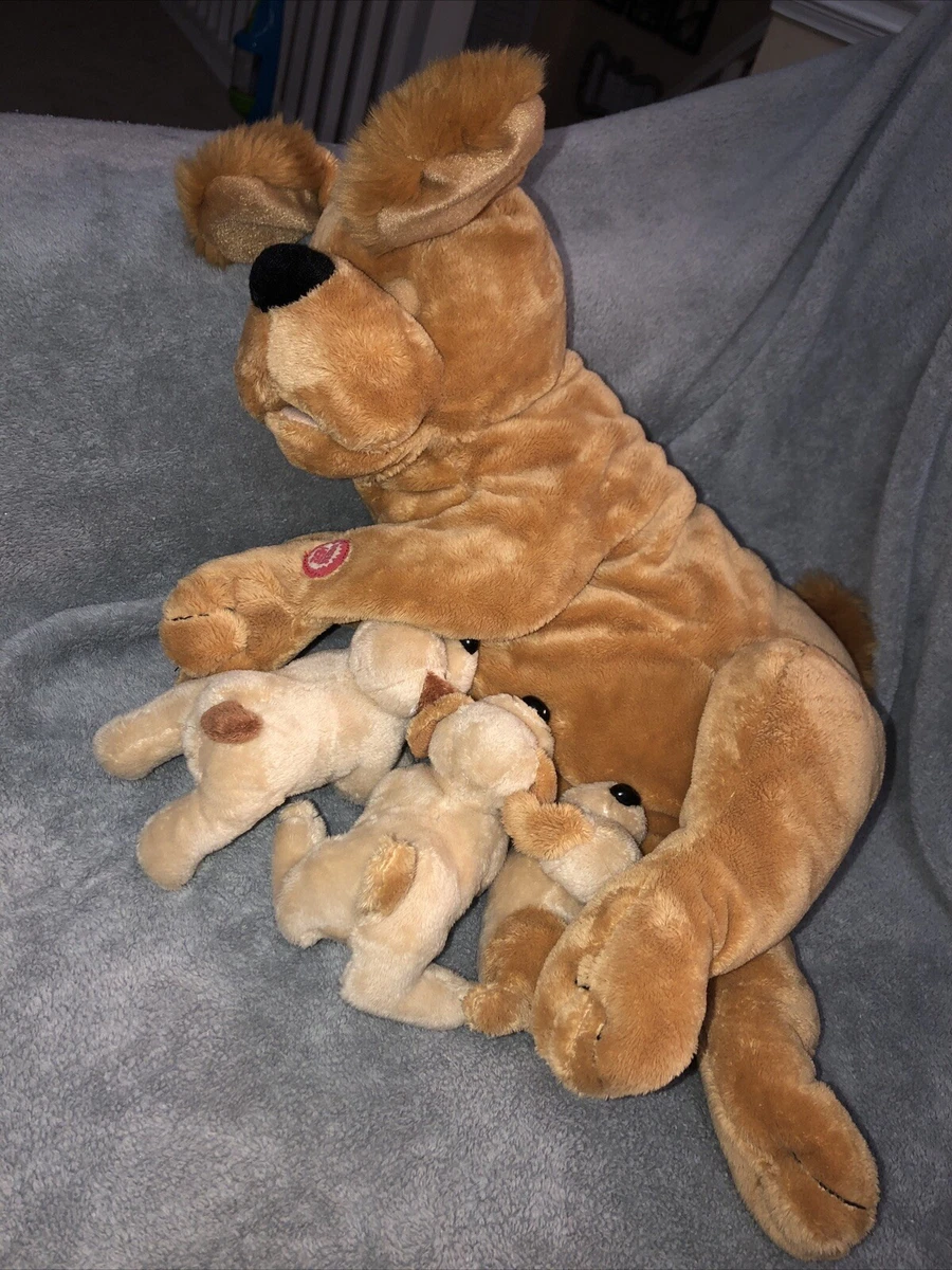 Dog suckling on toy sale