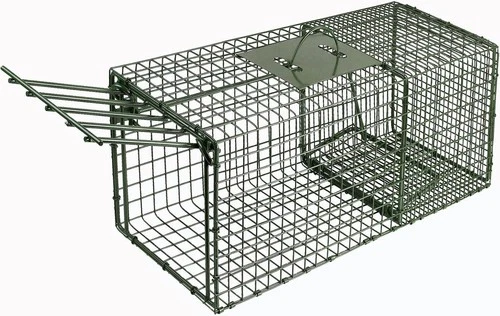 Duke Cage Trap - Thumbnail 2