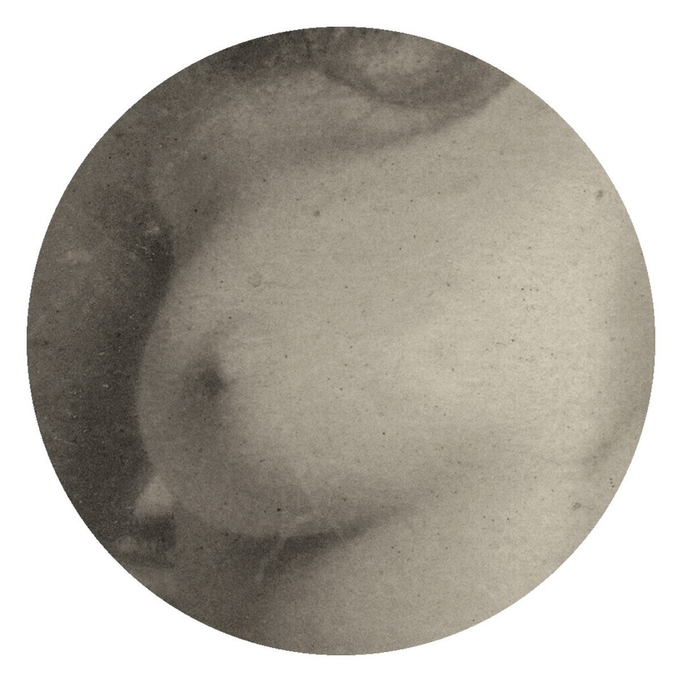 Vintage Fotoabzug SW Akt Frau Haar Jugendstil Nudes Art 1920 10x15 a