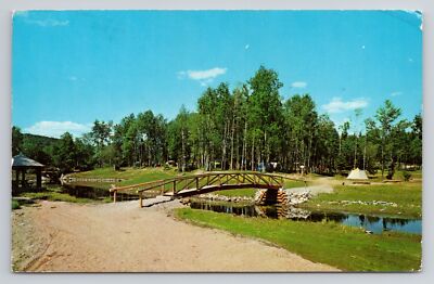 Camping du Lac Blanc St Ubalde Portneuf Route 363 Marina Ski Nautique Postcard