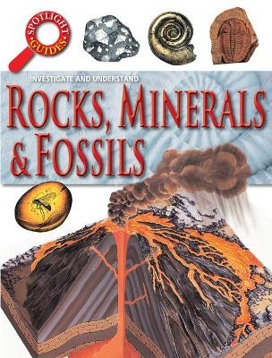 Rocks, Minerals & Fossils, Curtis, Neil,  Paperbac