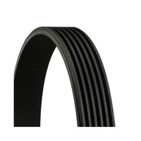 Keilrippenriemen Continental Ctam 6PK1225 FüR CitroëN Fiat Peugeot Toyota Kia