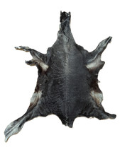Karakul Persian Lamb Hide, Silver-Brown, Very Unique