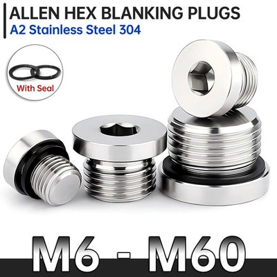 Hydraulic Allen Head Blanking Plug with Seal Metric DIN 908 A2 Stainless Steel
