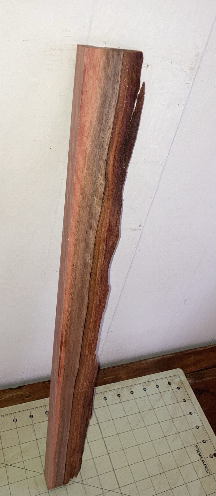 Picture 4 of 11