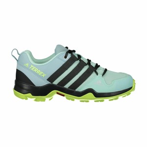 adidas performance terrex ax2r