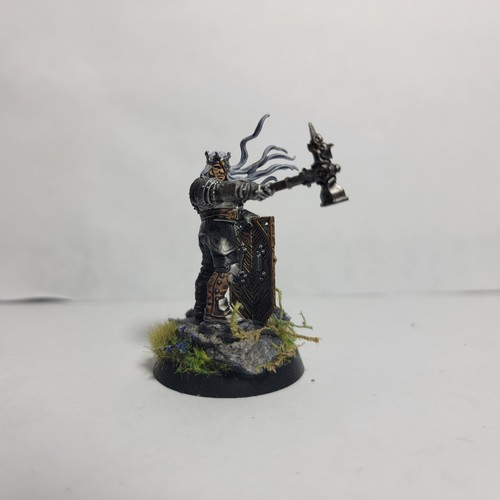 Age Of Sigmar Cities Of Sigmar Custom Freeguild Marshall Well Painted