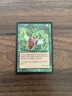 Ley Line - Mercadian Masques - MTG Magic - Uncommon - Green Enchantment NM