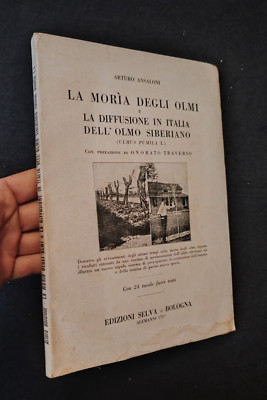 LA MORIA DEGLI OLMI DIFFUSIONE IN ITALIA OLMO SIBERIANO ANSALONI