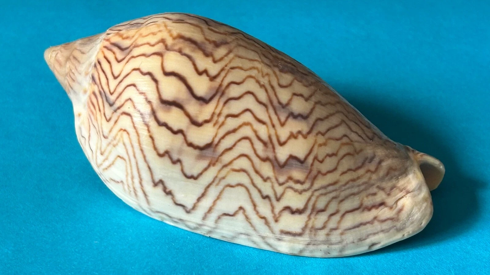 Picture 3 of 10