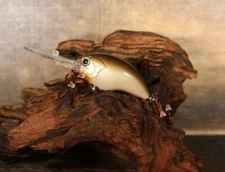 Custom Painted 1.5" Deep Divers Crankbait ( Brown Shad )