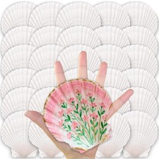 30 PCS Large Scallop Shells Crafts 45 Inch Natural White Bulk DIY Painting