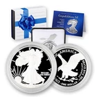 2025-W American Silver Eagle Proof Dollar $1 Box COA US Mint Congratulations Set