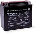 Yuasa YTX20HL-BS High Performance AGM Battery - YUAM620BH