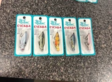 * THE REEF RUNNER * CICADA 3/4 OZ ' LOT OF 5 '- JIGGING/TROLLING/CASTING