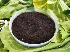 蚕砂 Can Sha/Silkworm Excrement