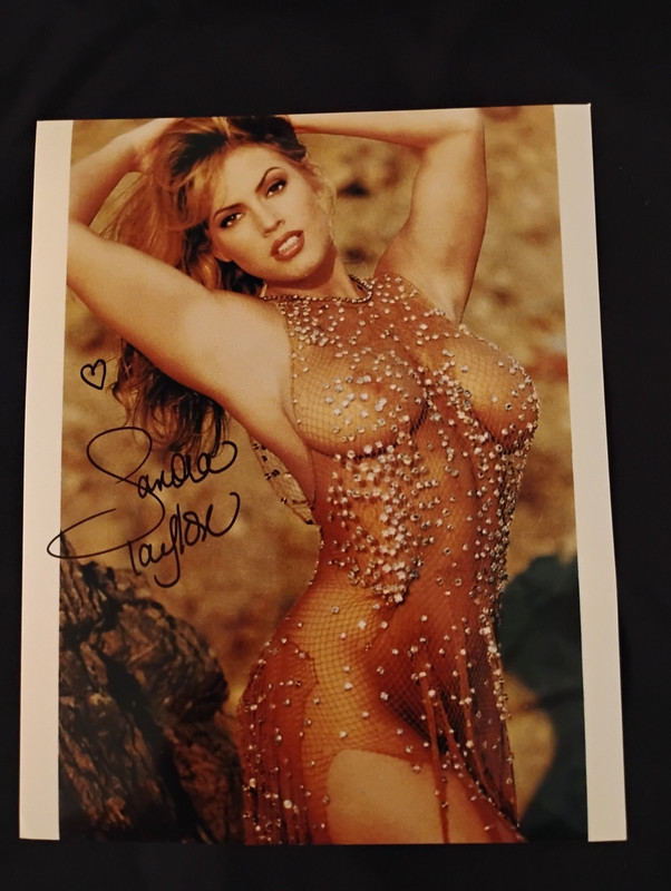 Sandra Taylor aka Sandi Korn Signed Photo / 8"x10" / Penthouse Pet & Actress