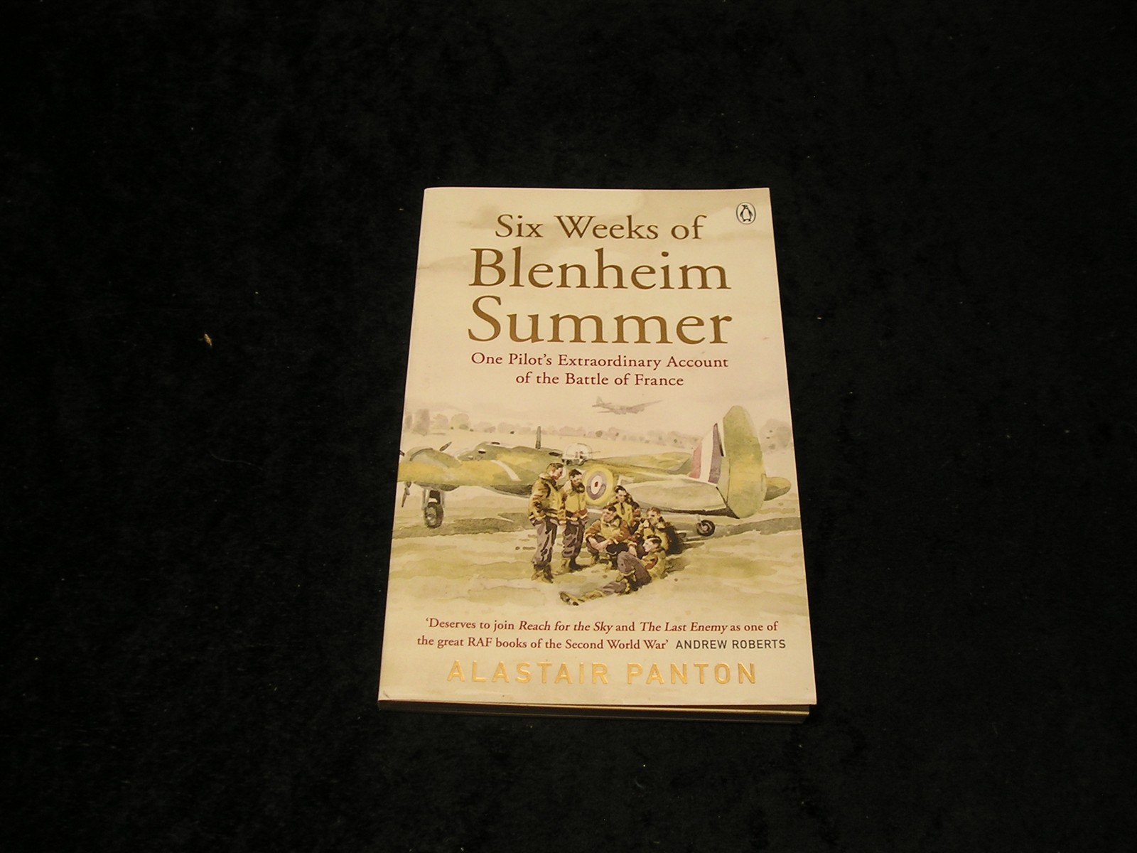 Six Weeks of Blenheim Summer