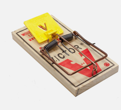 Victor Rat Traps (12 Pack ) Easy Set Rat Snap Trap Quick Catch Rat Trap M326 PRO
