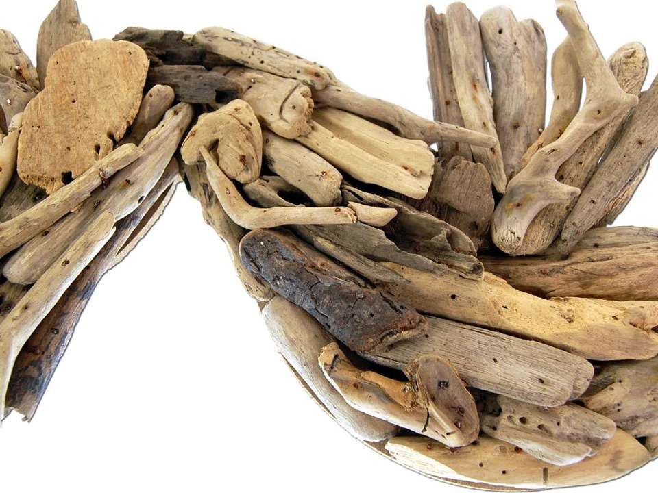 SEESTERN Treibholz Deko m. Seepferdchen (60cm) Motiv Wanddeko Driftwood Holzdeko - Bild 4 von 4