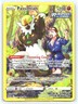 Passimian TG08/TG30 Holo Silver Tempest Trainer Gallery Pokemon NM