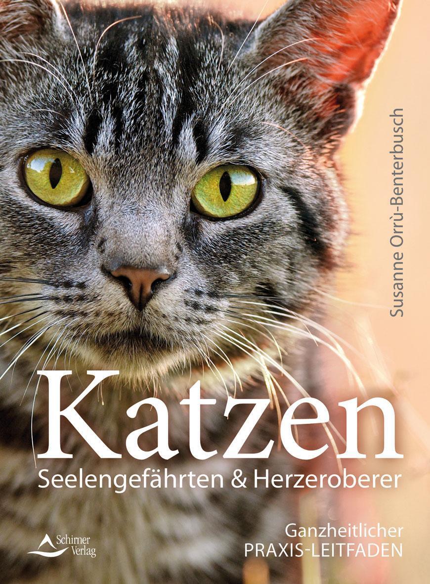Thumbnail - Katzen - Seelengefährten & Herzeroberer Ganzheitlicher