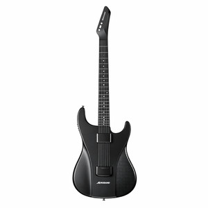 Blackbird Rider Guitar for sale | eBay