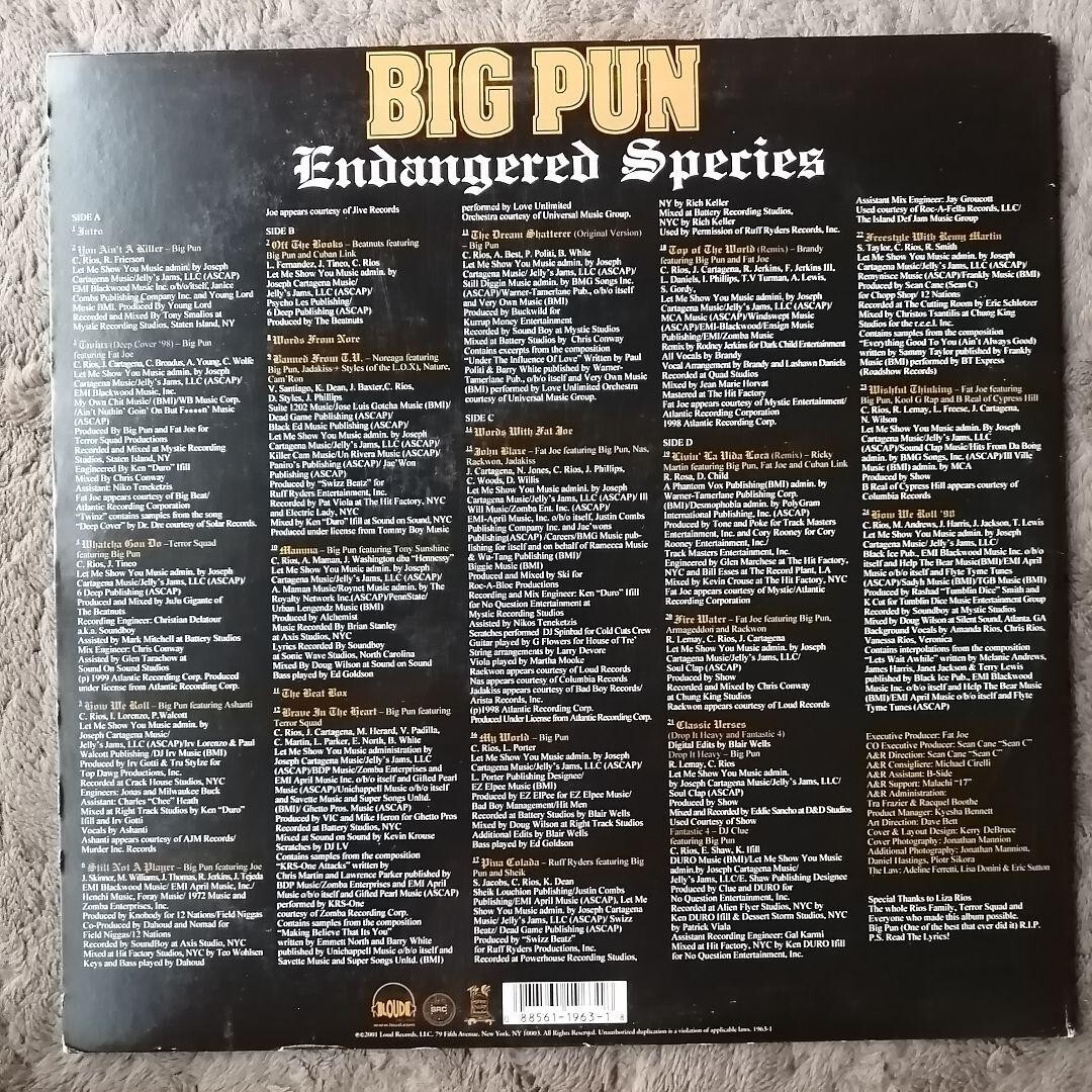Big Pun / Endangered Species 12