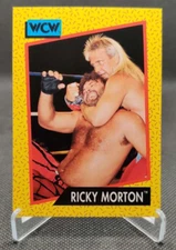 1991 Impel WCW #98 Ricky Morton Wrestling Card