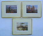 Group of Seven, Carmichael, Thomson, Casson 3 Art Prints in Shiny Gold Frame