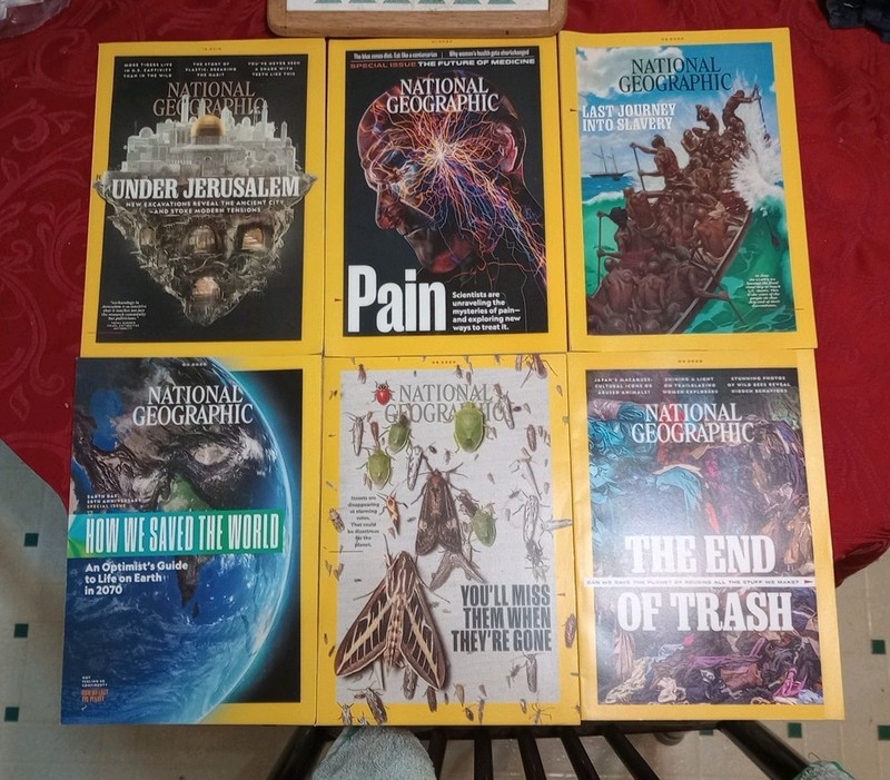 National Geographic Magazine Lot Of 6 From 2020
