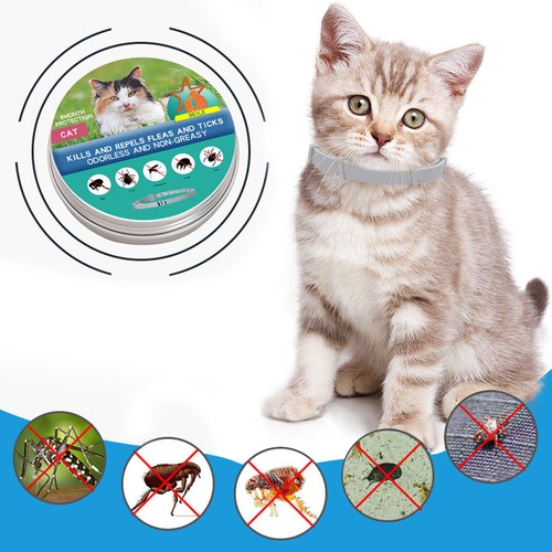 Adjustable Anti Flea And Tick Collar 8 Month Protection For Large Small Dogs Cat - Bild 30 von 30
