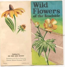 1956 GM Pamphlet "Wild Flowers of the Roadside"; Info & Photos