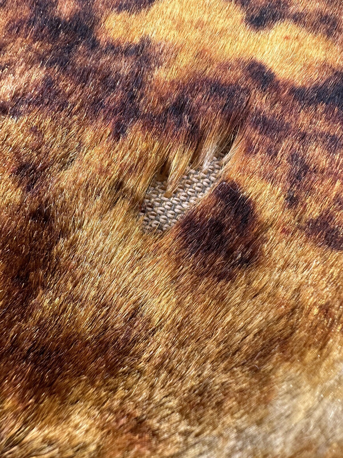 Rare Stroock Floral Design Weighted Victorian Sleigh, Carriage Blanket Large