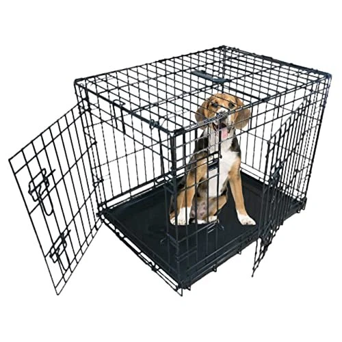Dog chews cheap crate