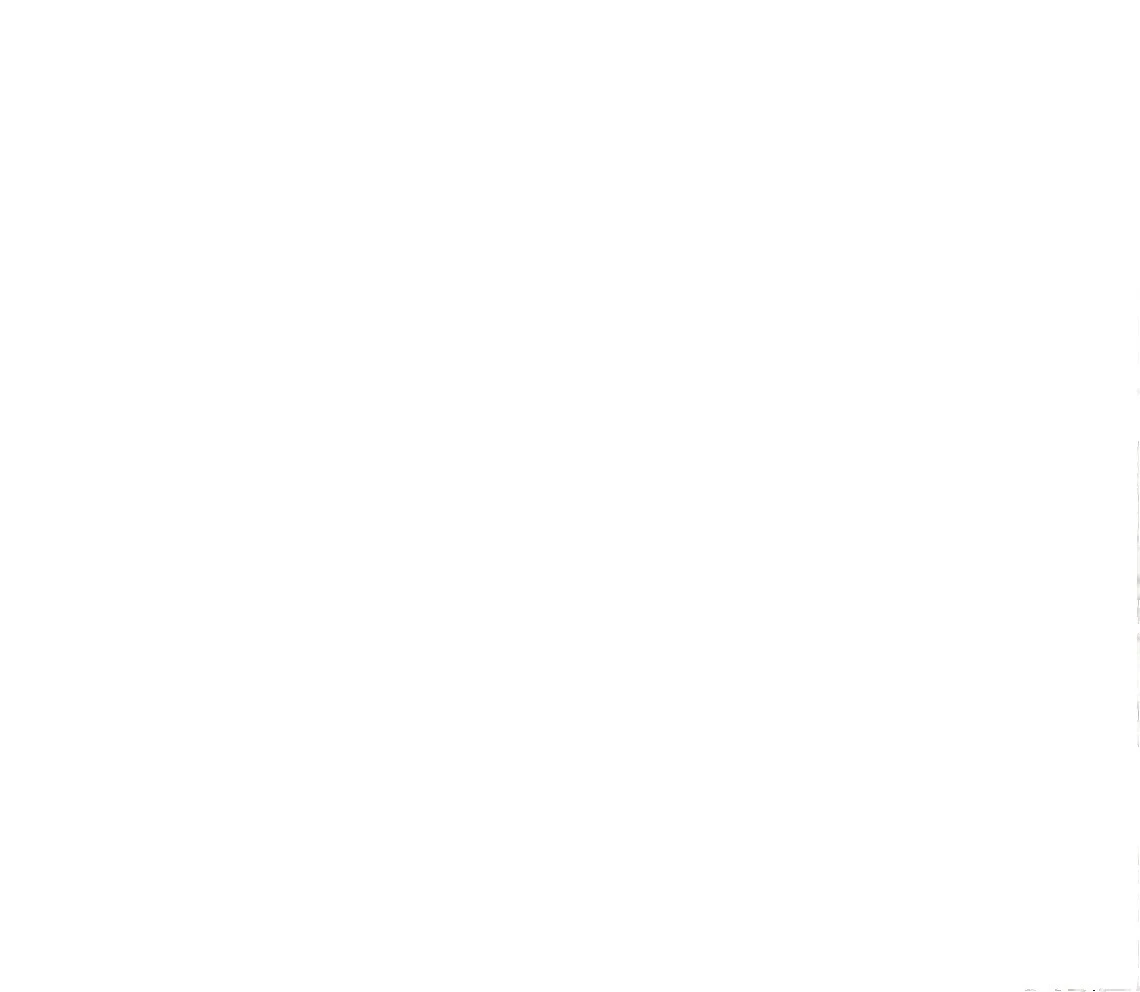 Couro Sintético Estampa Animal-Tecidos de artesanato de Crocodilo