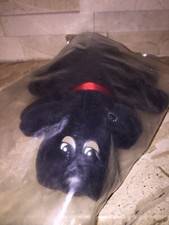 POUND PUPPIES BLACK 7" DOG
