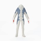 Foto 4 di 4