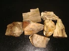 OLD WASHINGTON PETRIFIED WOOD ROUGH SPECIMENS   5   +  POUNDS