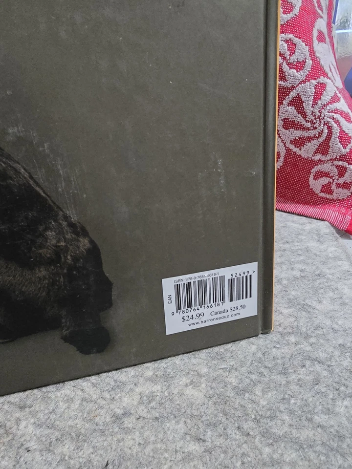 Labrador Retriever Foto 3 de 4