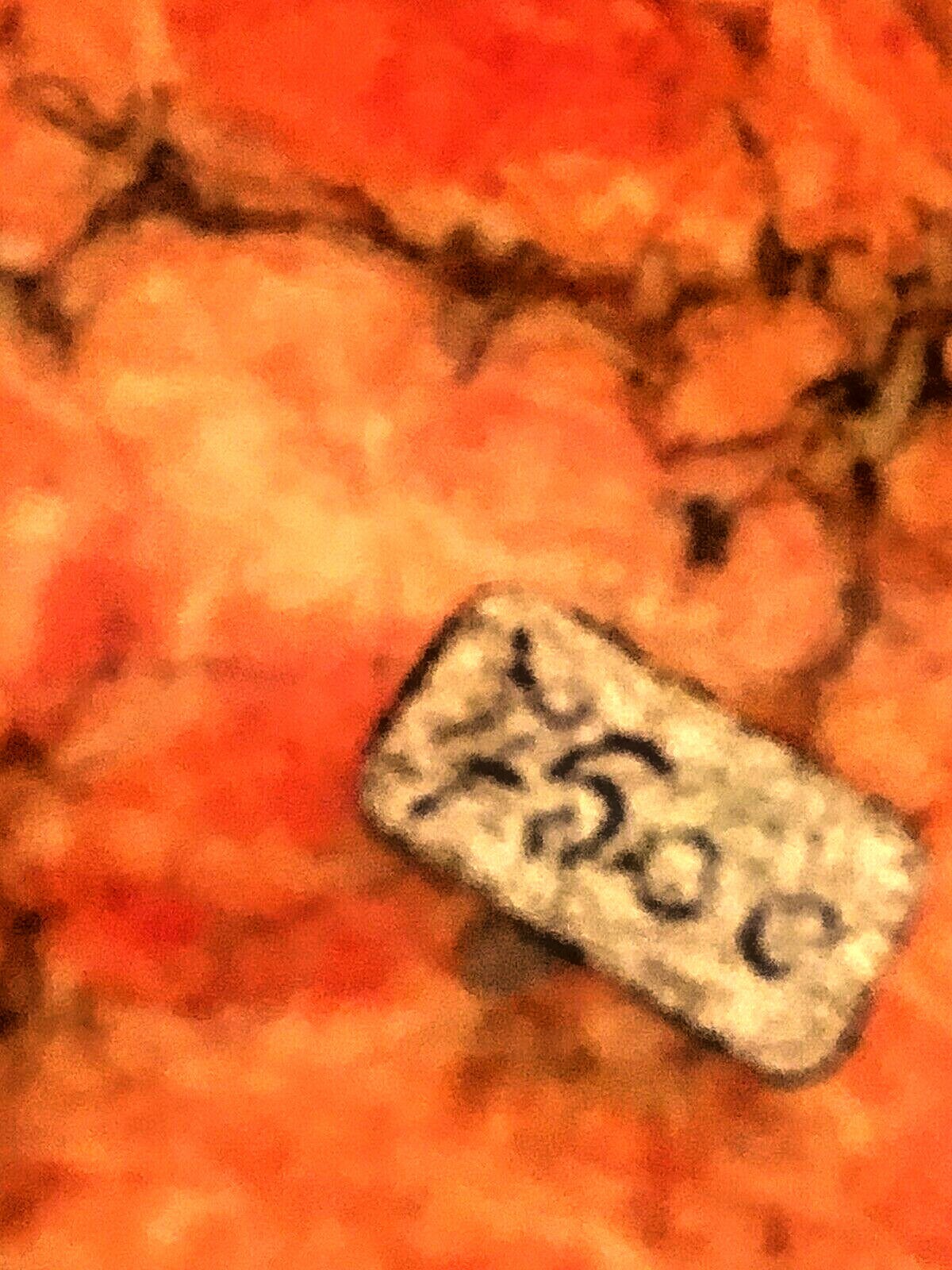 Picture 9 of 9