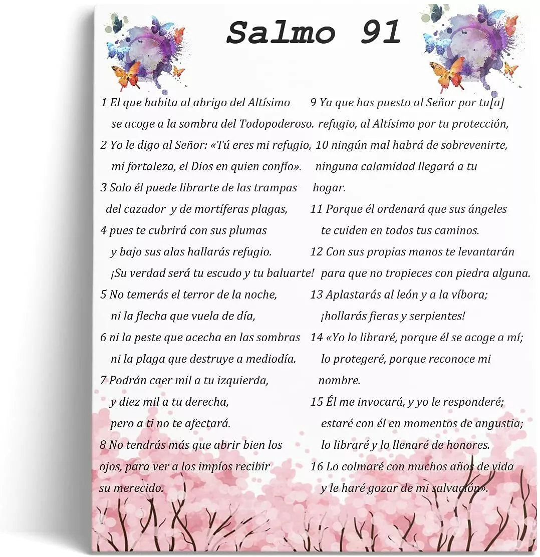 SALMO 91 91 VEZES 